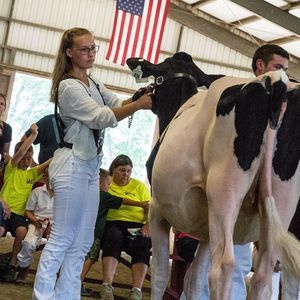 Meet your Posher, Julia